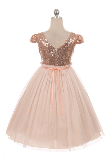 Sequined Pleated Mesh Girls Dress 