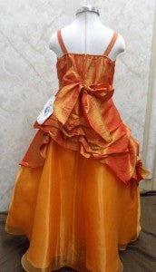 Girls Ball Gown With Shawl 