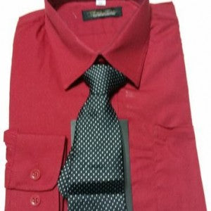 Boys Long Sleeve Dress Shirt & Tie