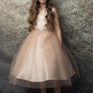 Rose Floral Brocade Jacquard Top Girls Dress- Champagne