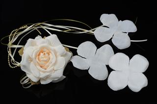 Fancy Flower Pin & Petal Set